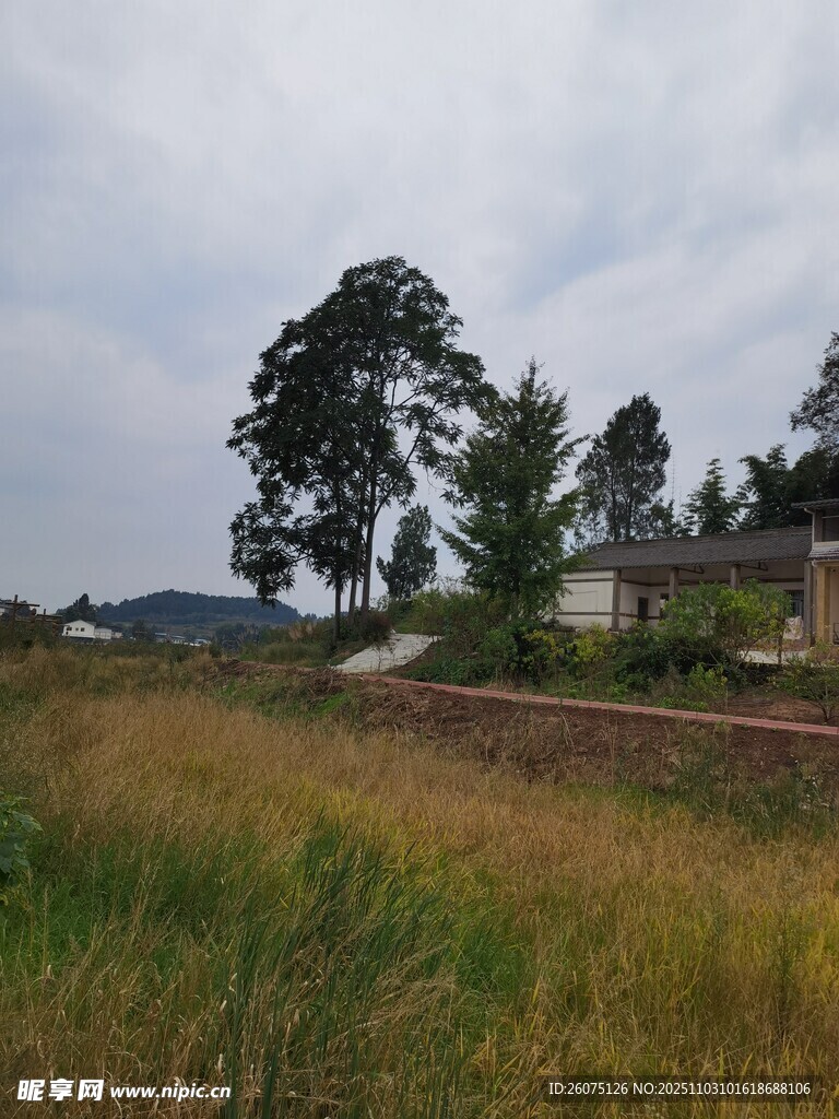 乡村田野风光景色