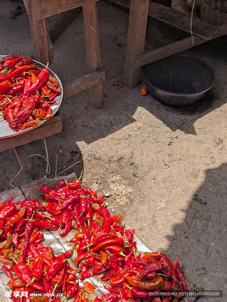 户外晾晒的鲜艳红辣椒