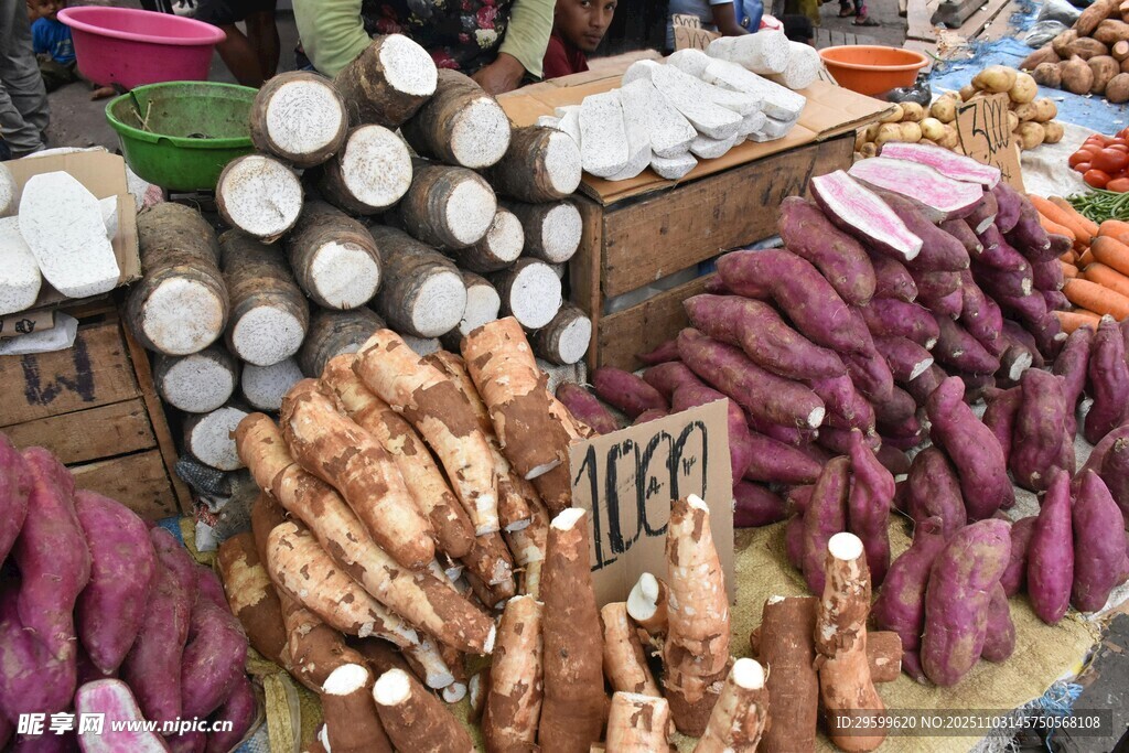多样根茎类蔬菜集市展示