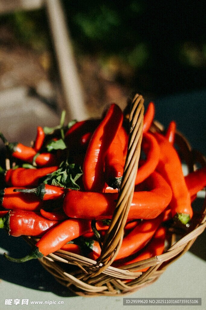 篮子里的红辣椒