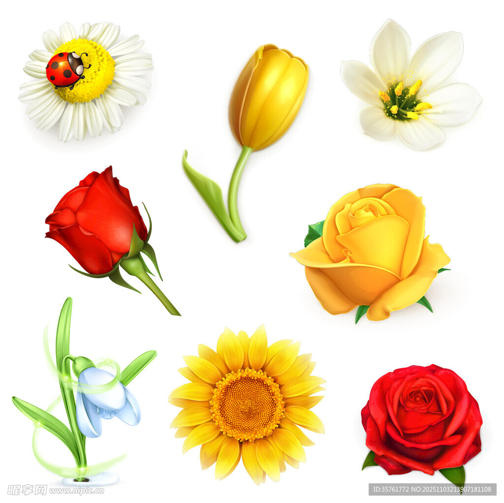 多彩花卉素材集合