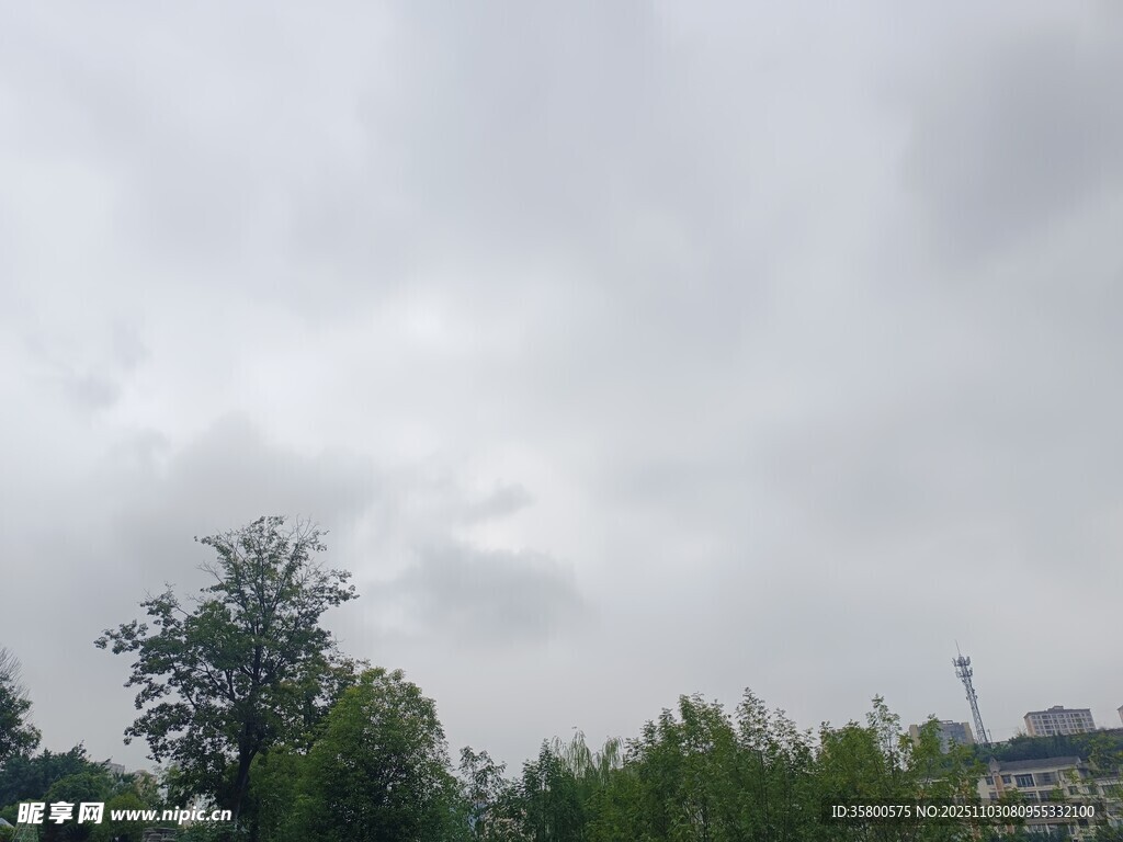 阴天时的树林与远处建筑