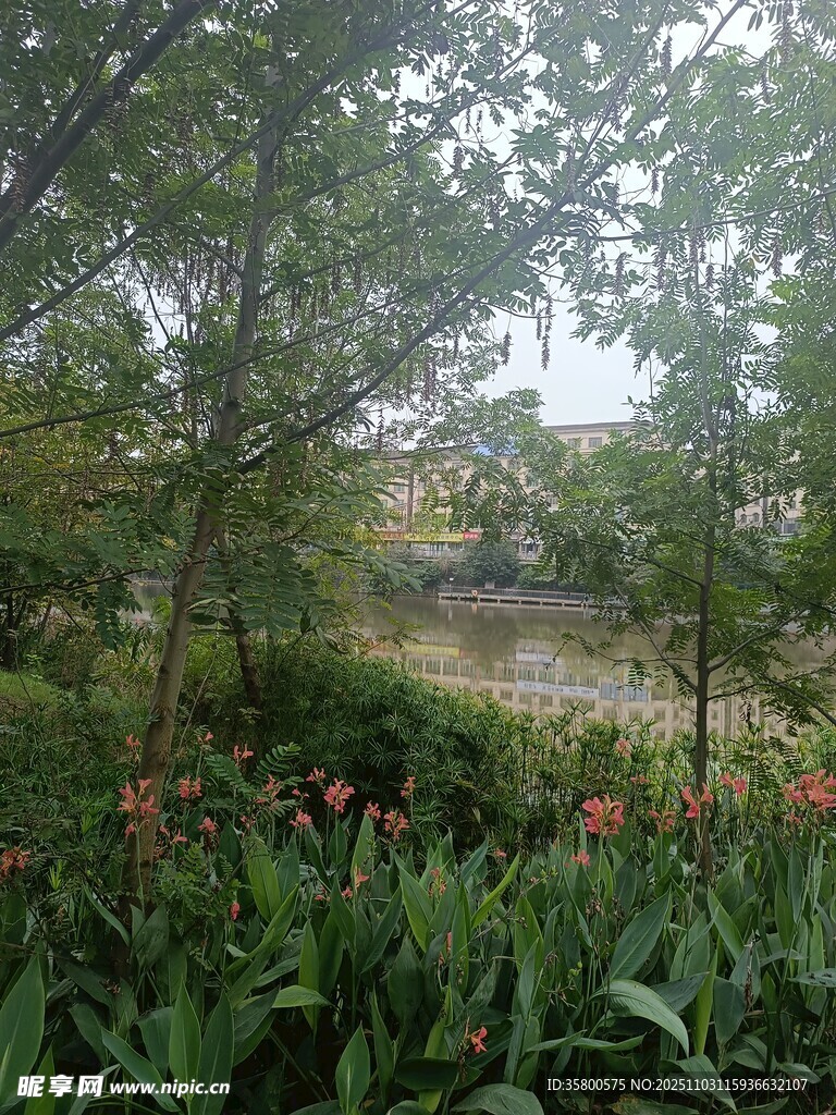 林间花丛中的自然景致