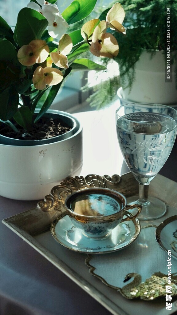 精致茶具与绿植的优雅组合