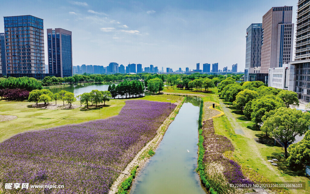 城市河畔的多彩花卉景观