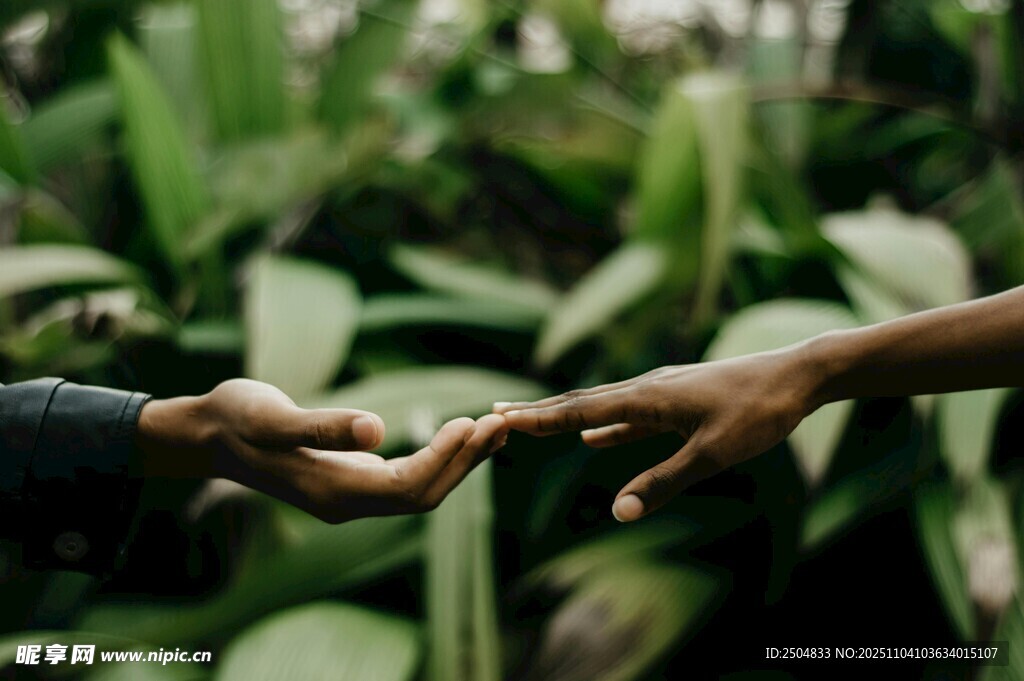 手与手在绿植间相触