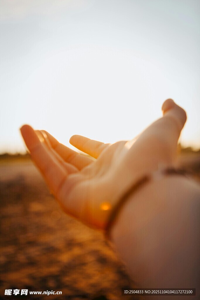 阳光下摊开的手掌
