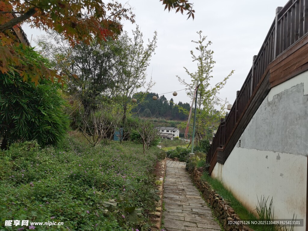 乡村小径旁的绿植与建筑