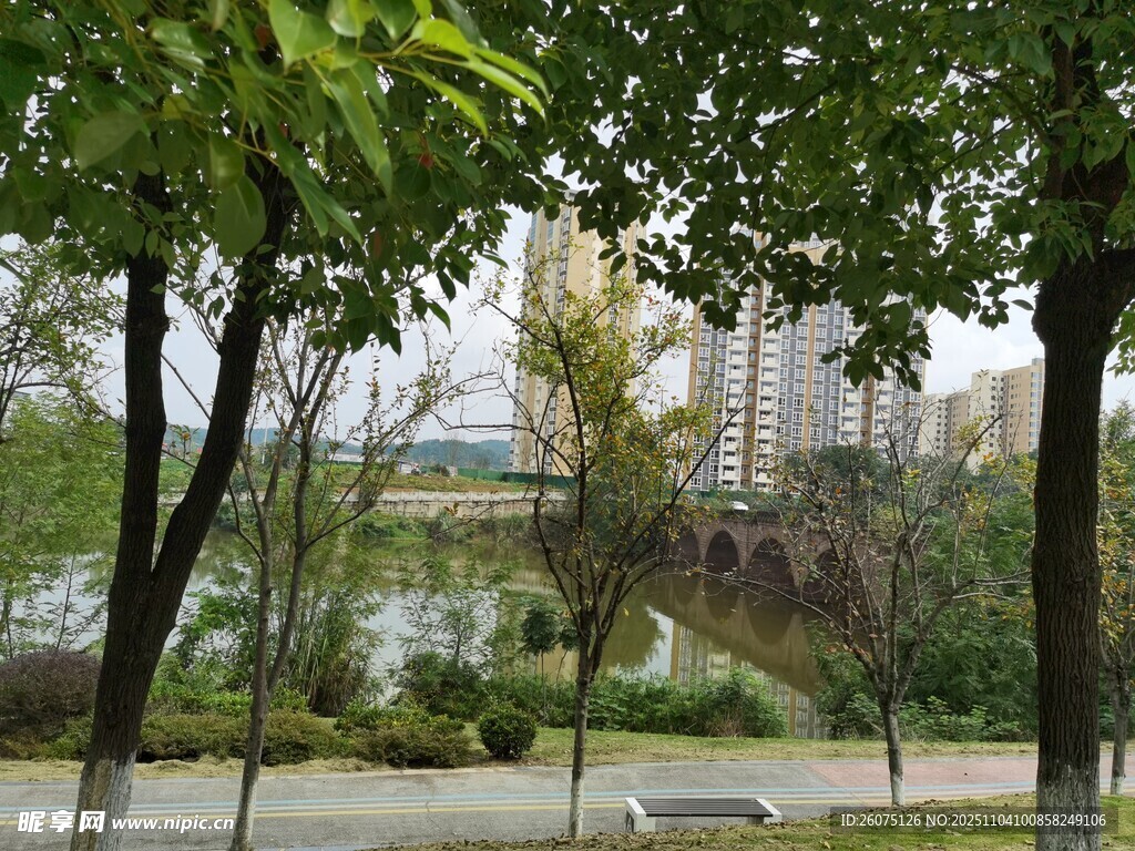 城市公园绿树环绕景致