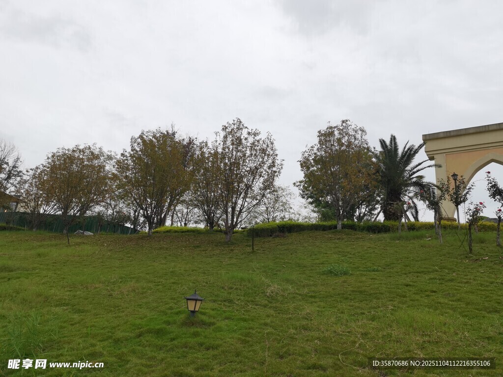 户外草地与树木景观