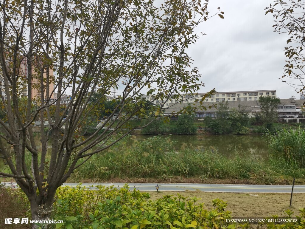 城郊自然景观树木与建筑