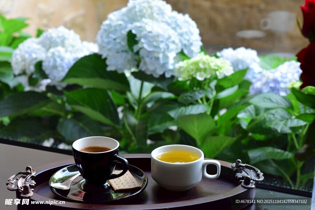 户外绣球花旁的惬意茶饮