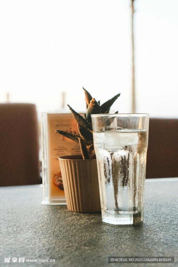 桌上的饮品与绿植摆件