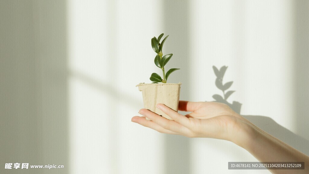 手捧绿植邂逅自然美好