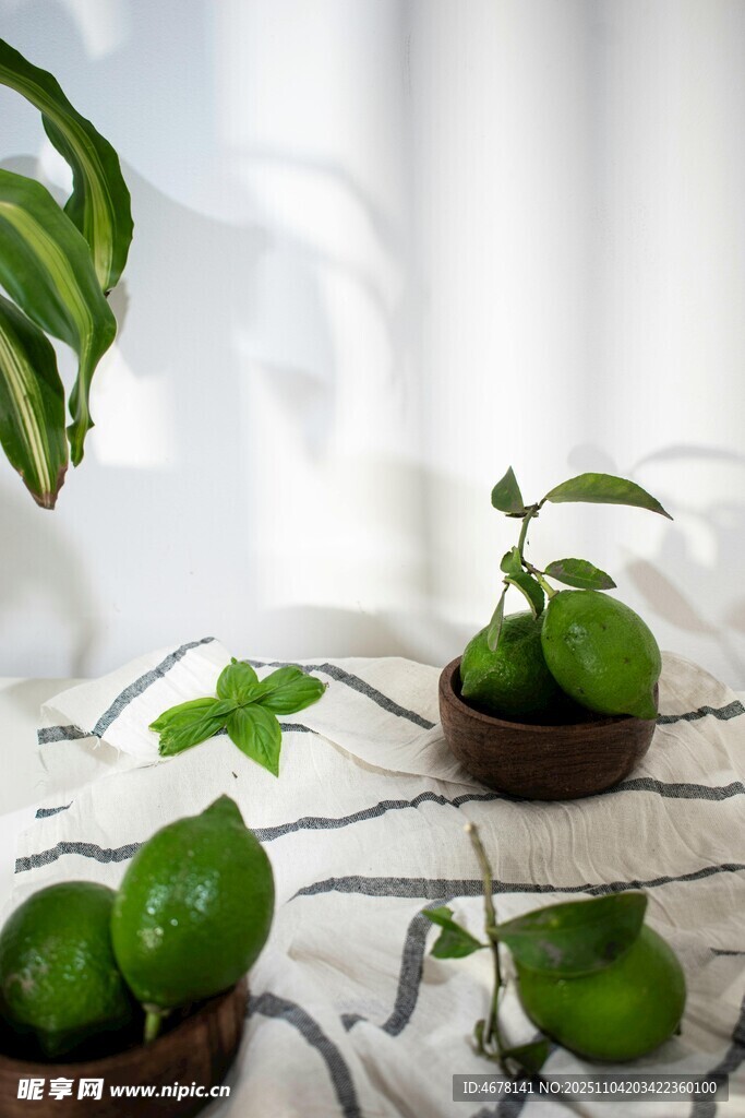 清新绿植与青柠静物组合