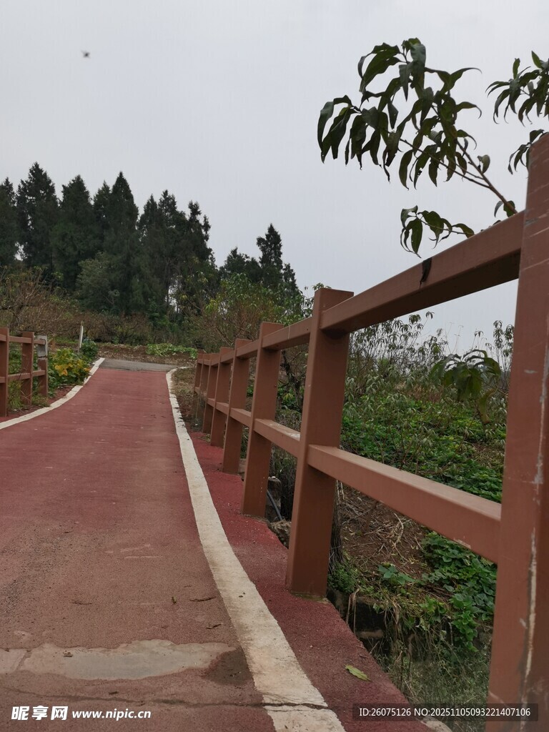 乡村红道旁的木质护栏