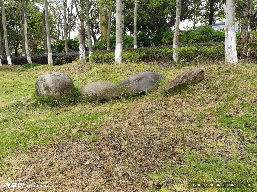 草地上的几块大石
