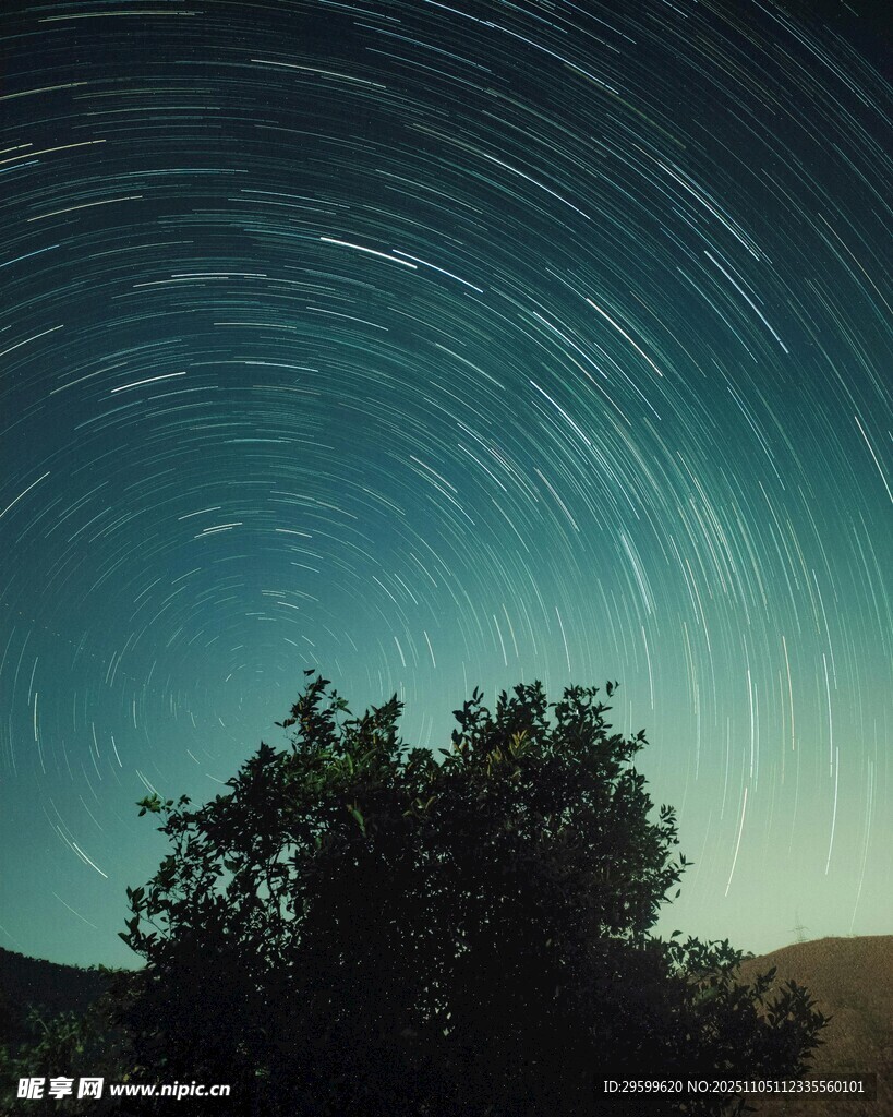 夜空下的树与星轨奇观
