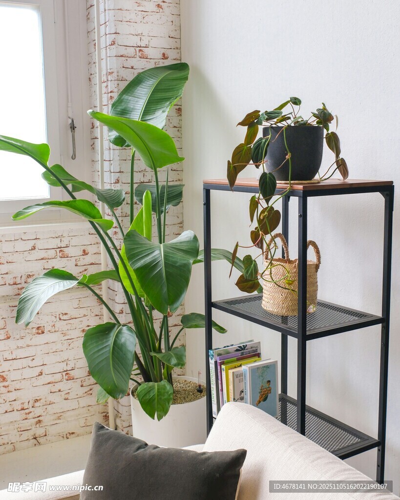 室内绿植装饰架场景