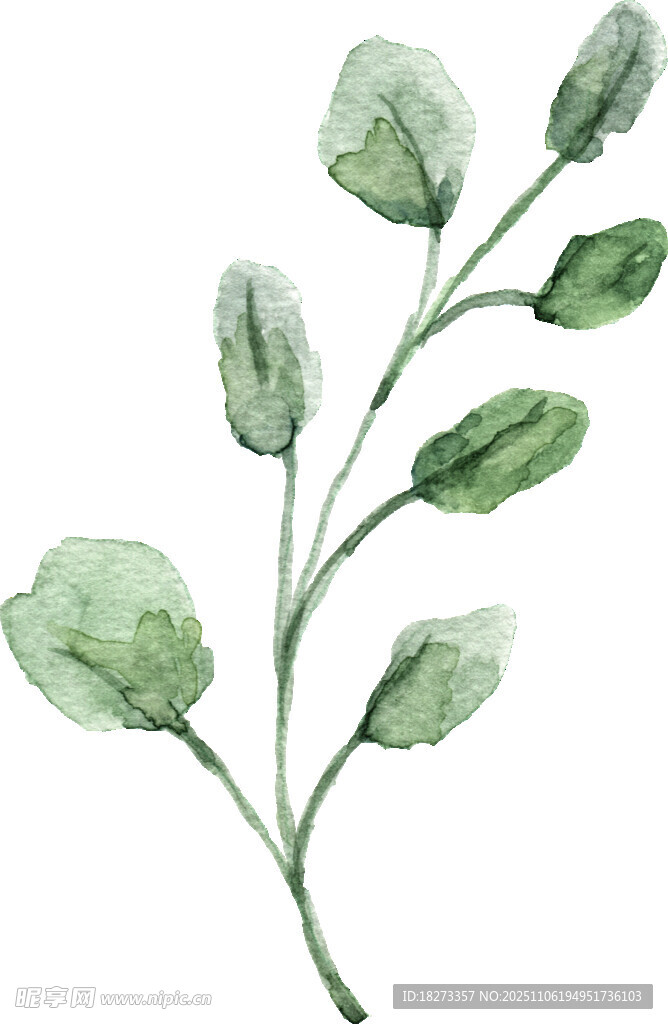 水彩绘绿色枝叶植物图