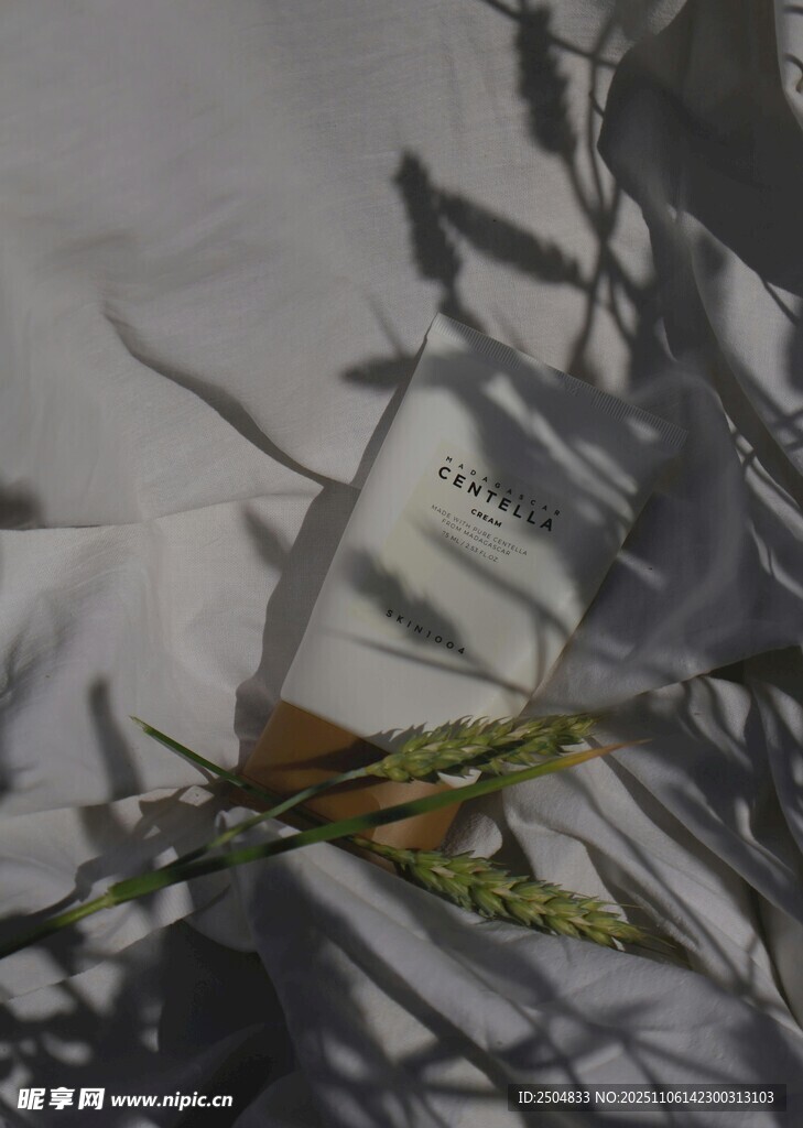 书页上的枯叶光影