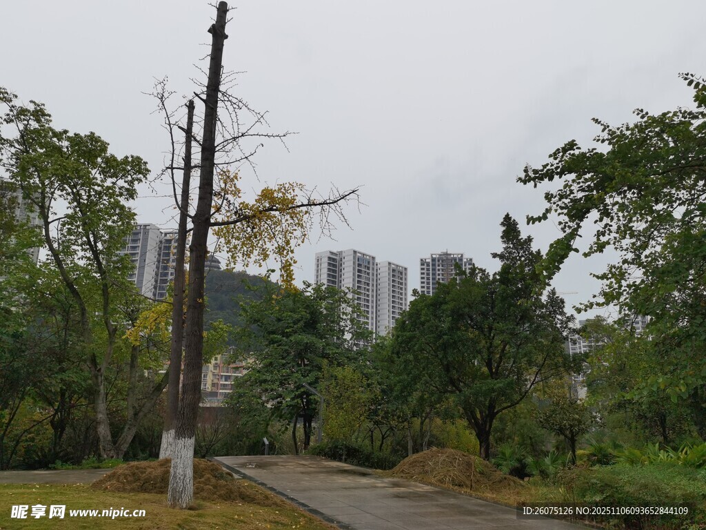 雨后公园小路与林立高楼