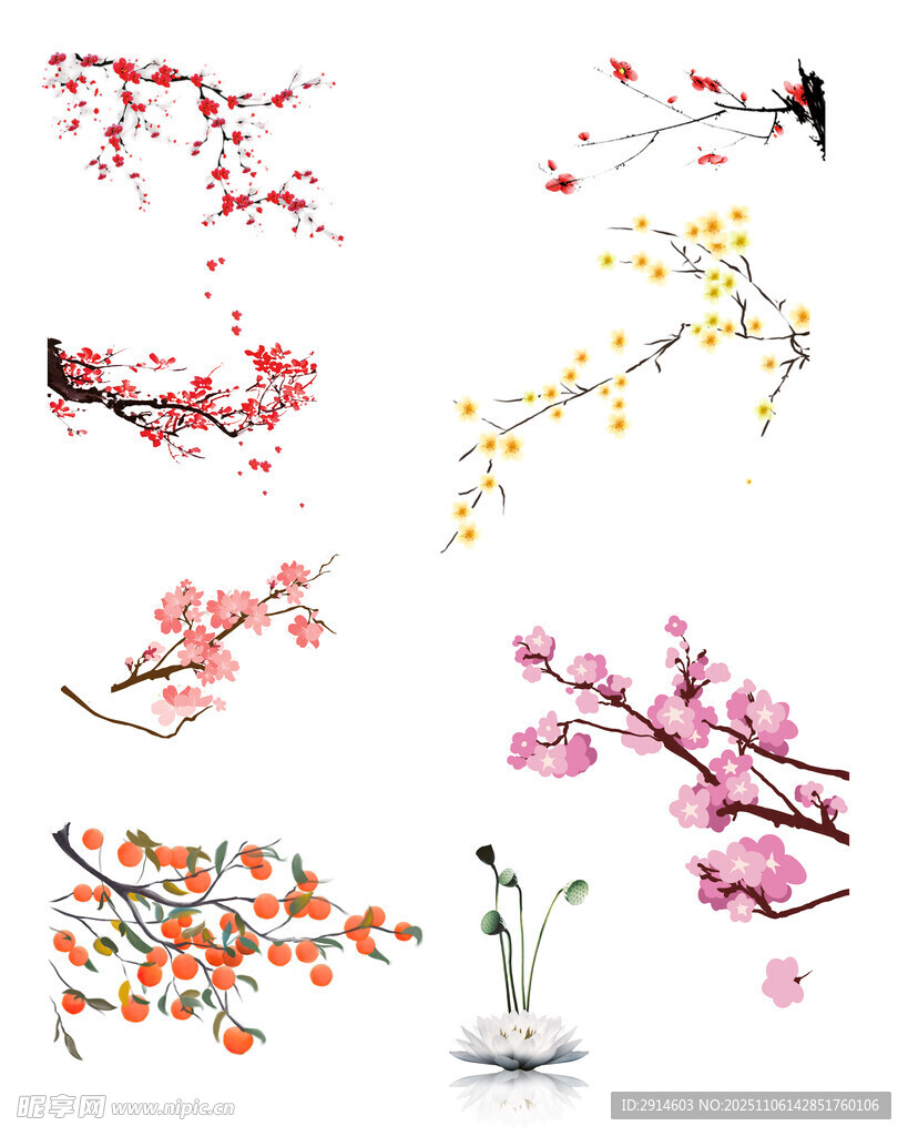 梅花 橘子 荷花 小黄花 