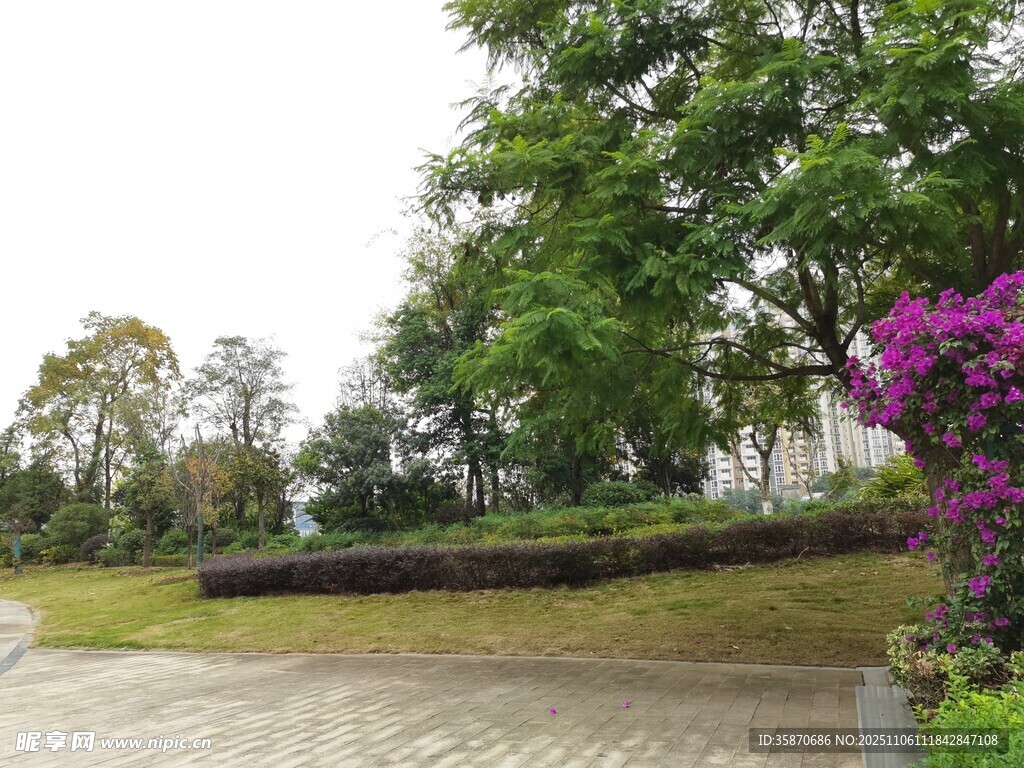 公园雨后清新景致