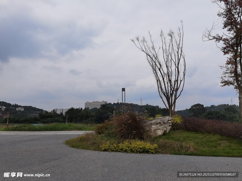 郊外空旷道路旁的自然景致