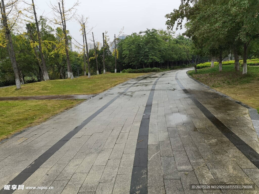 雨后林间湿漉漉的石板路