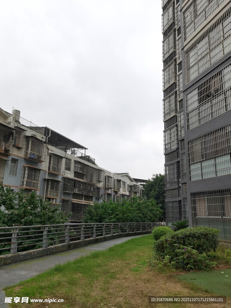 小区内的绿植与高楼景观