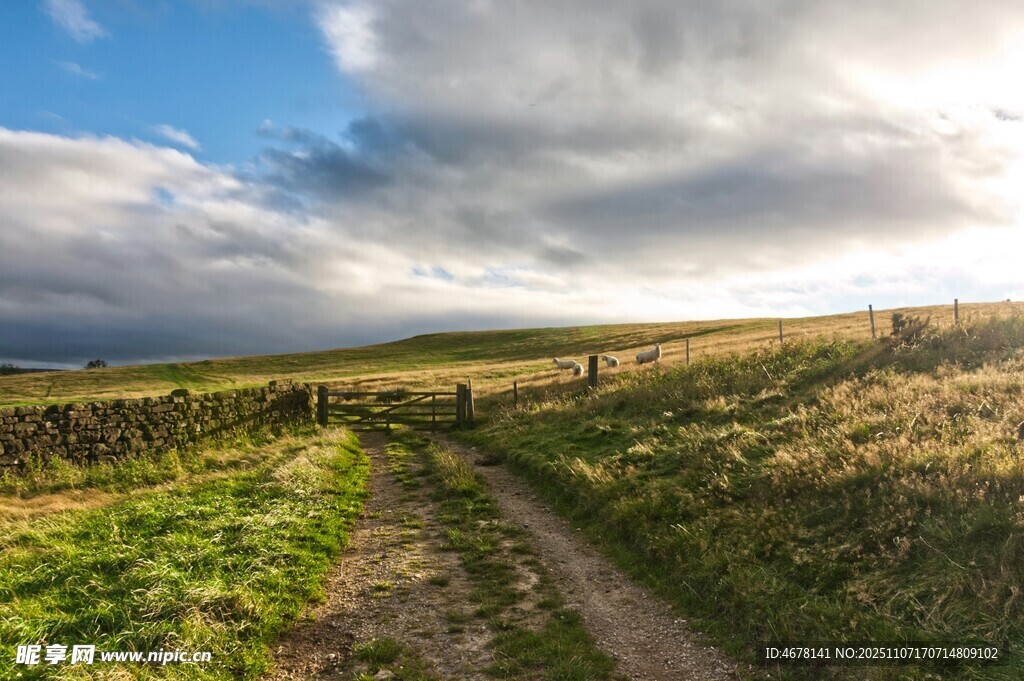 田园小径邂逅自然之美