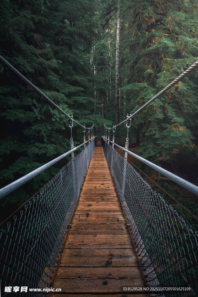 森林中的木质吊桥
