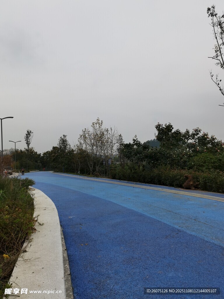 蓝色塑胶跑道绿意环绕