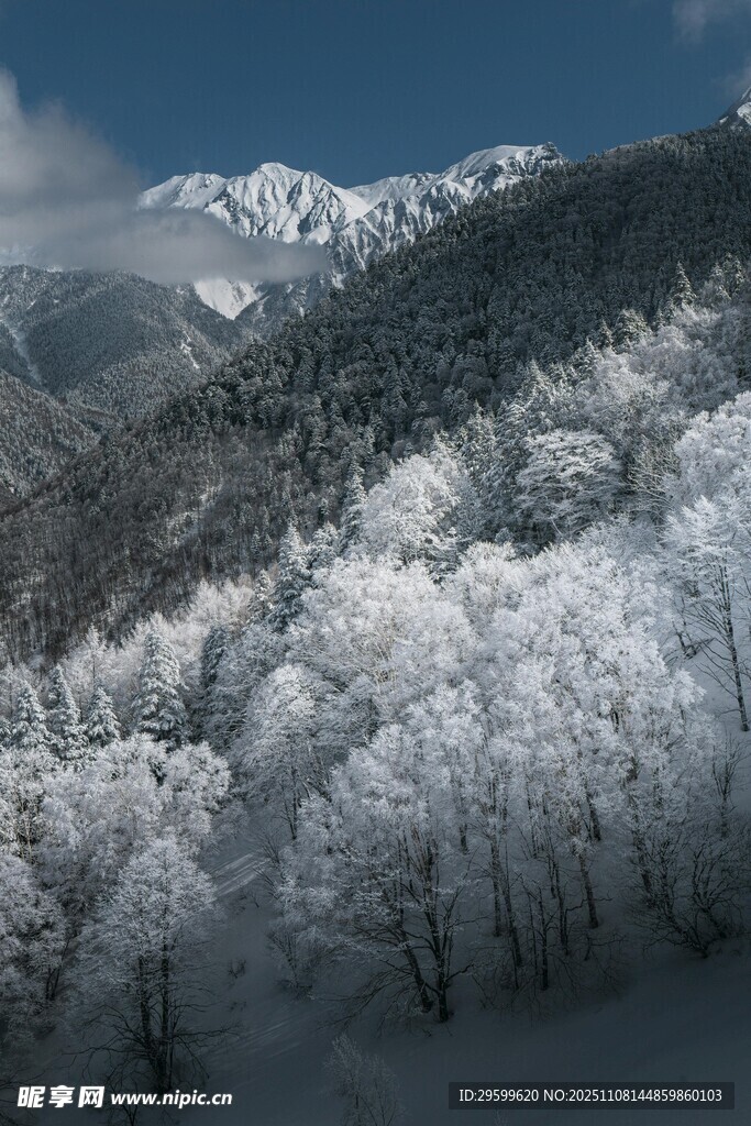 雪覆山林
