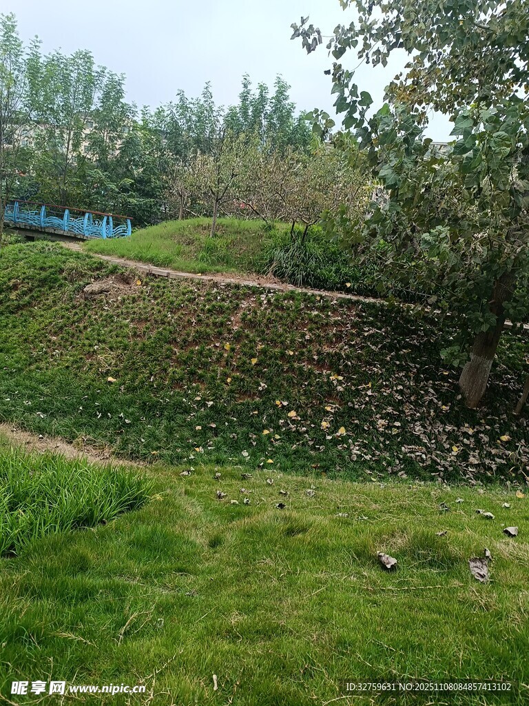 郊外绿意盎然的自然风景