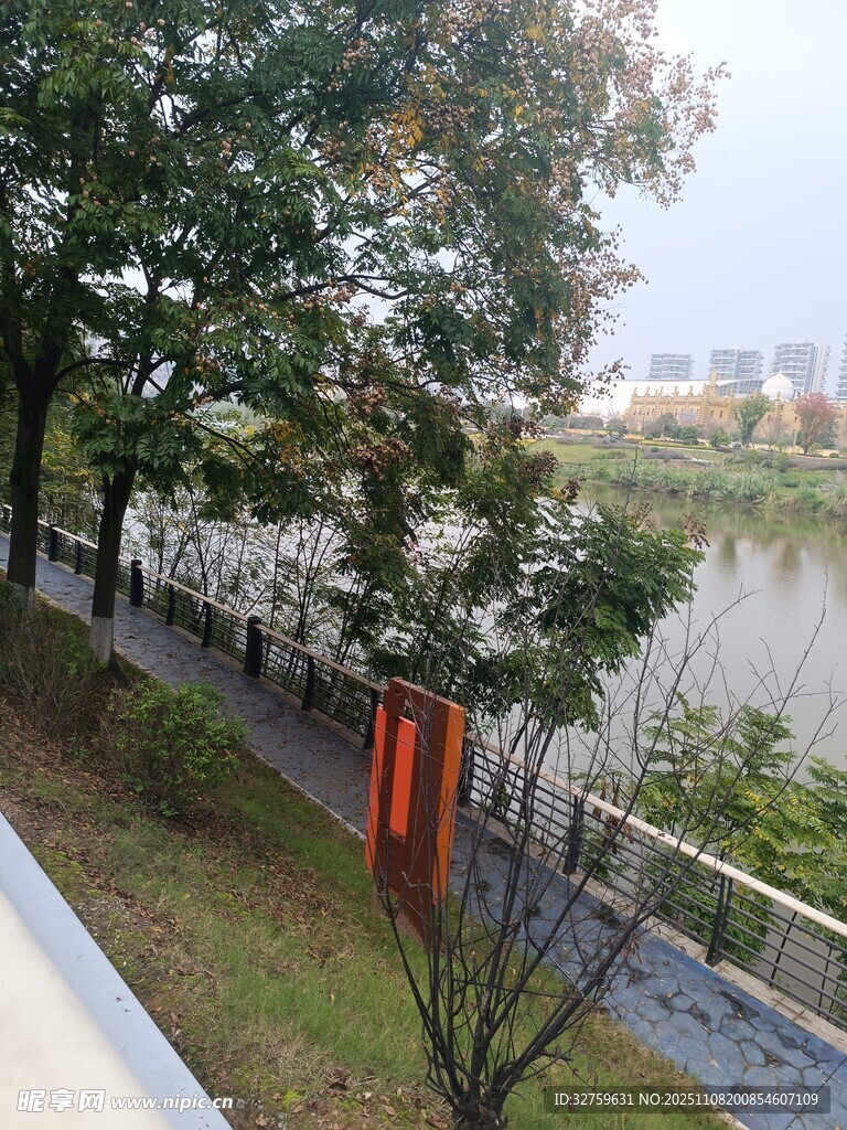 湖畔林荫小道风景