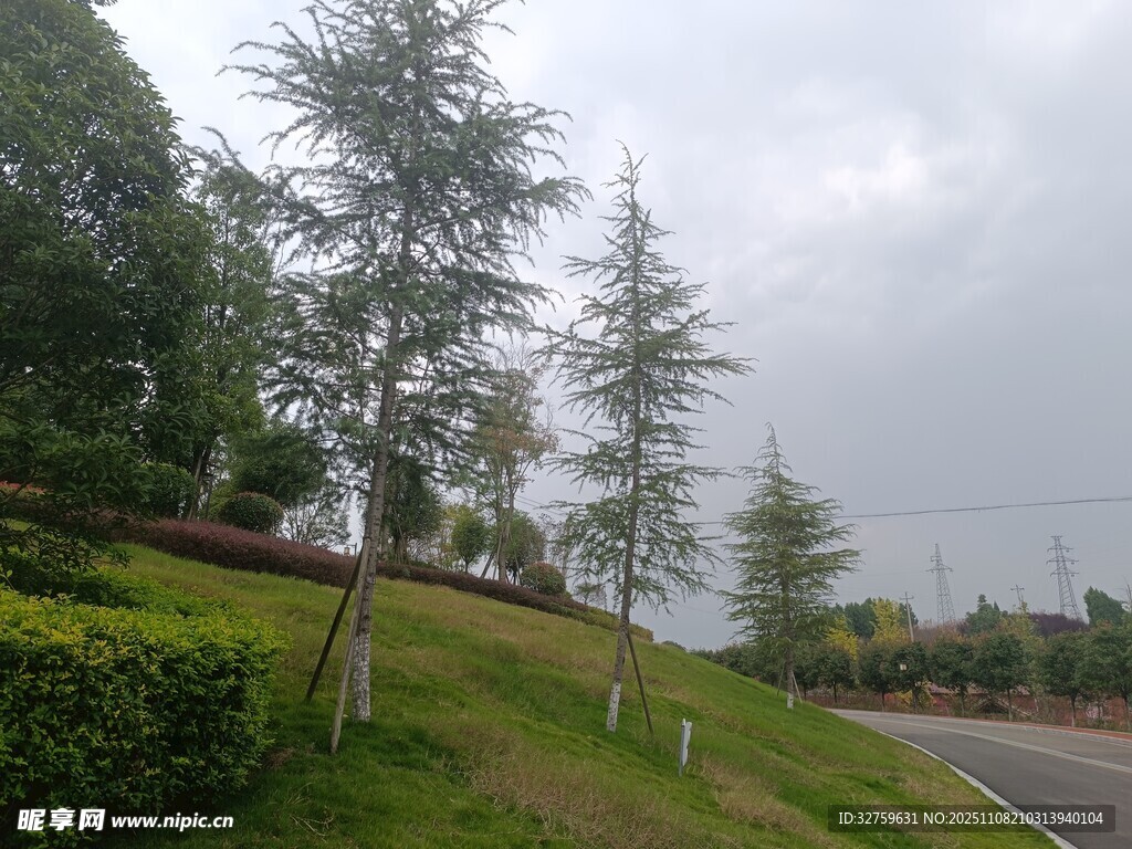 路边绿意盎然的景致