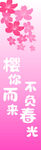 樱你而来 不负春光
