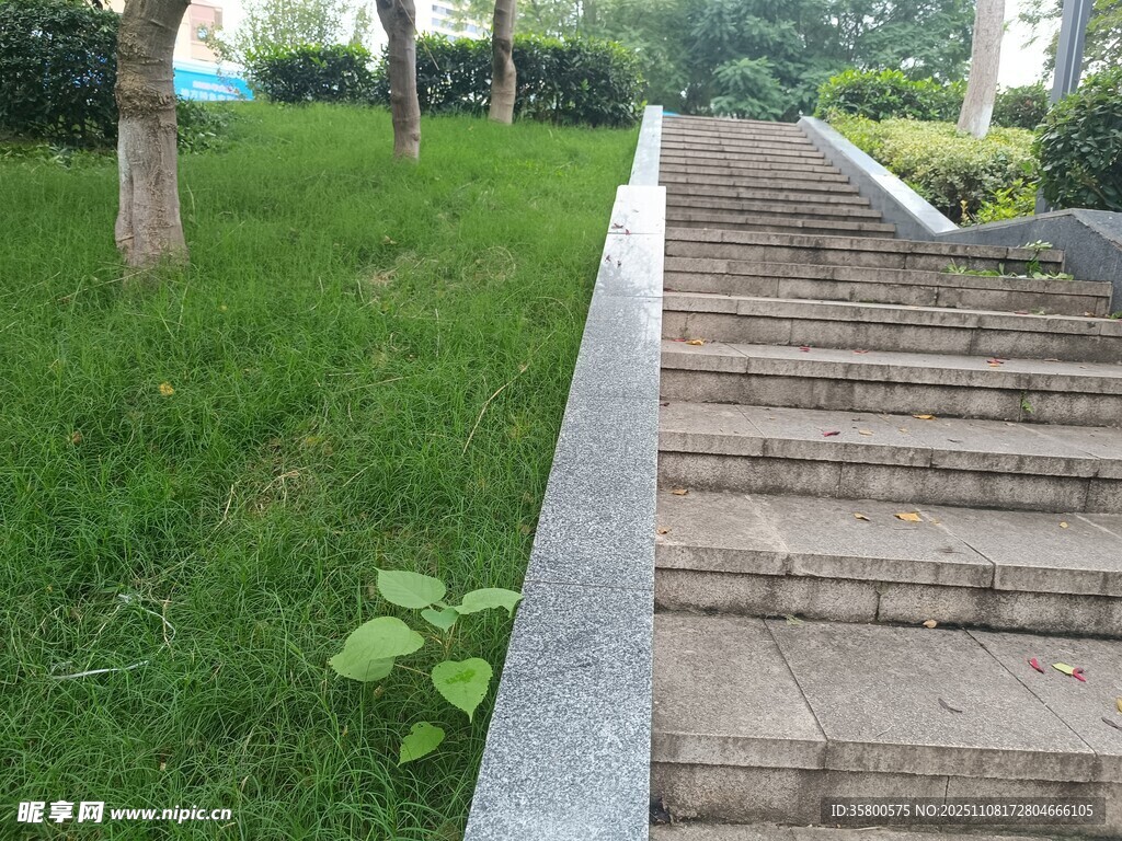 户外石阶旁的翠绿草坪