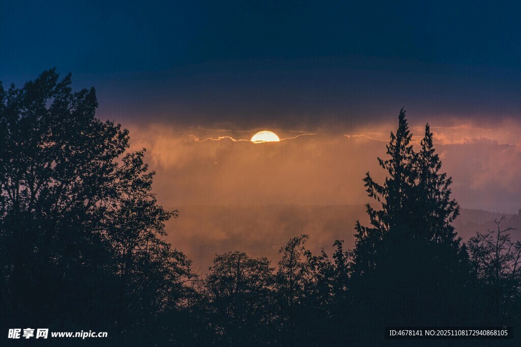 夜幕下森林中的朦胧月色