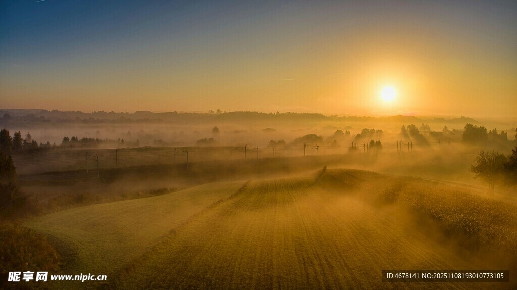 日出时分的金色田野美景