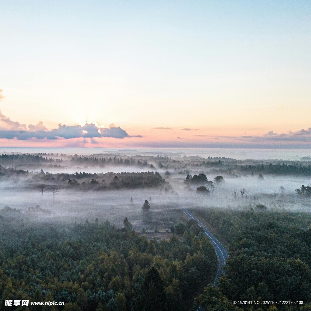 日出时分的森林雾景