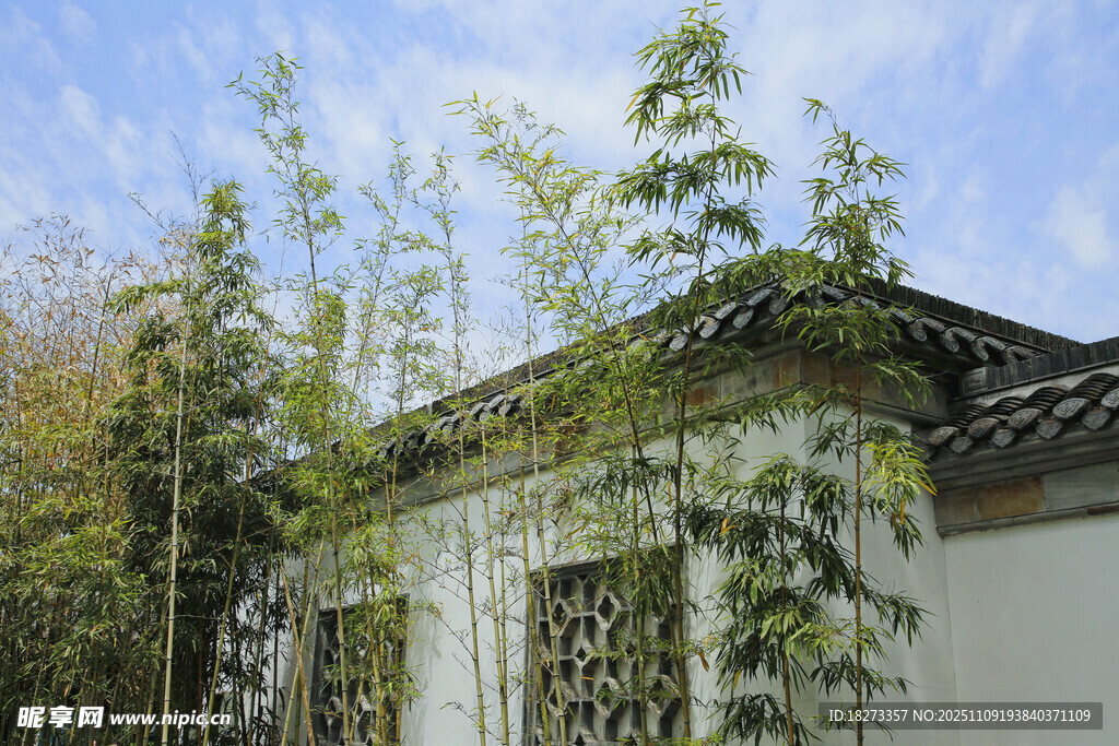 中式庭院白墙绿植景致