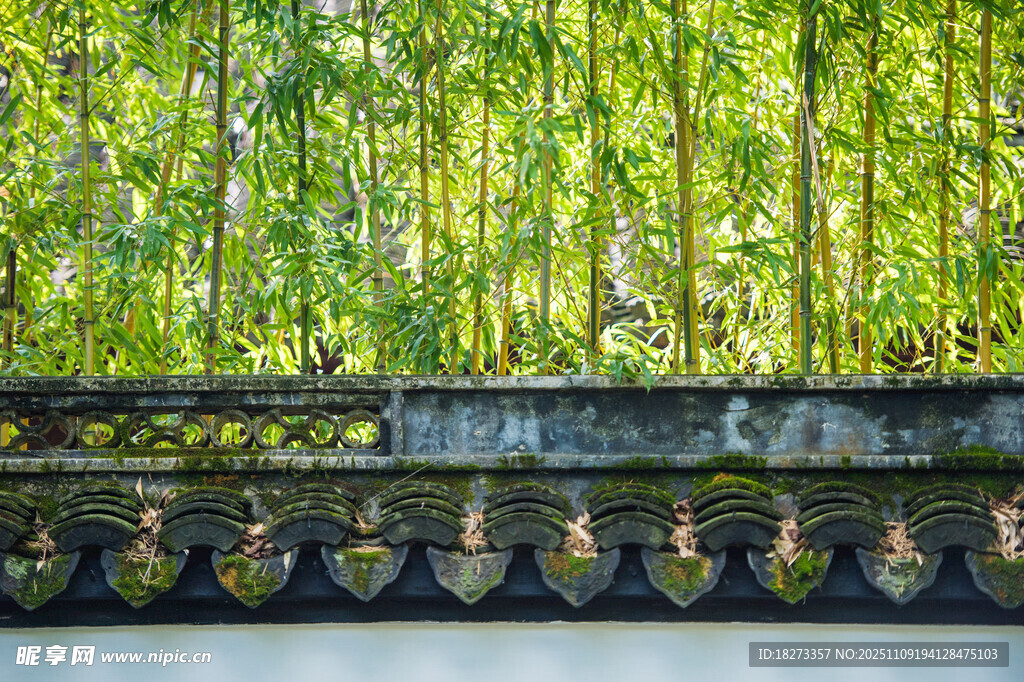 竹林掩映下的中式屋檐