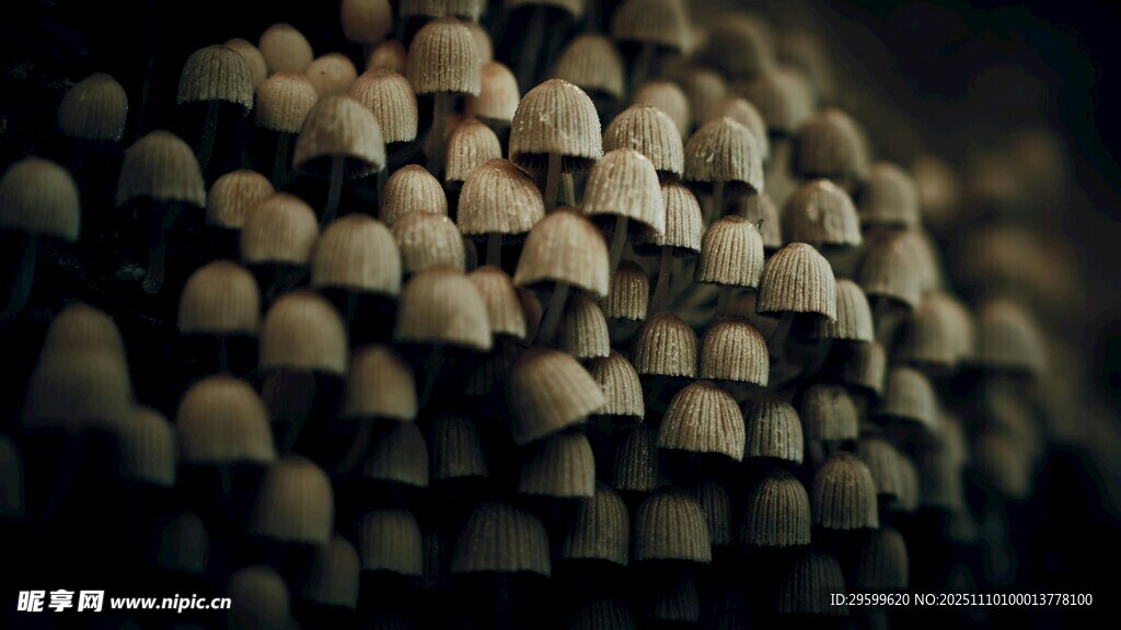 密集排列的瓶罐