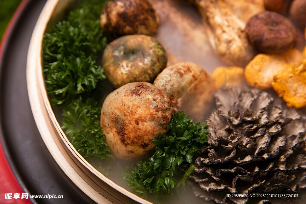 精致摆盘的多样山野食材