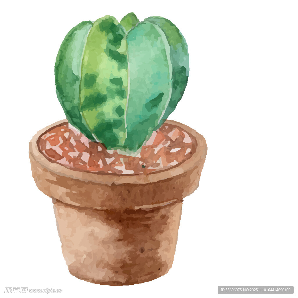 水彩绘心形仙人掌盆栽