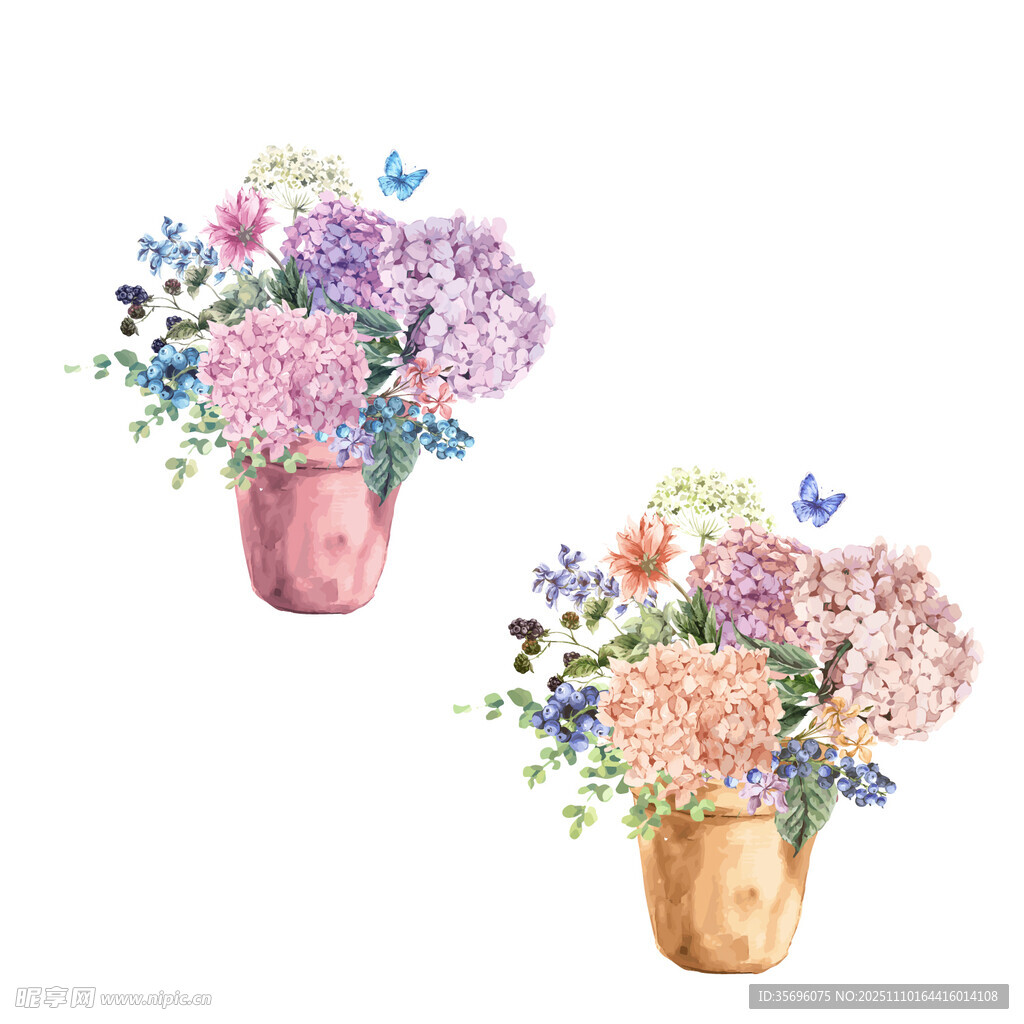 两盆多彩花卉插画