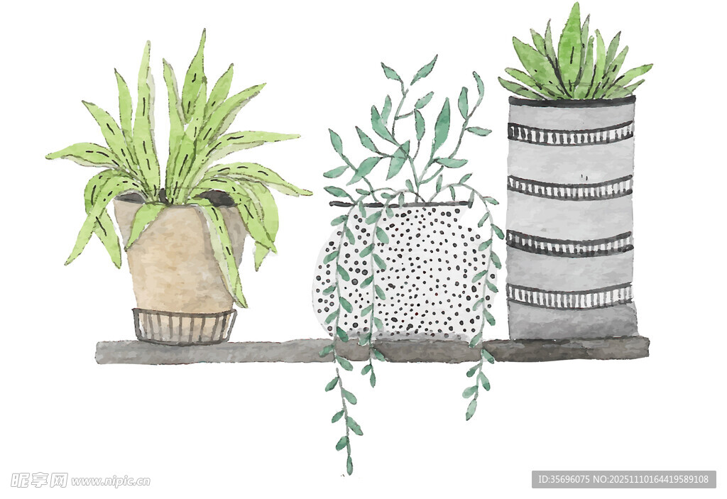 架子上的清新绿植盆栽